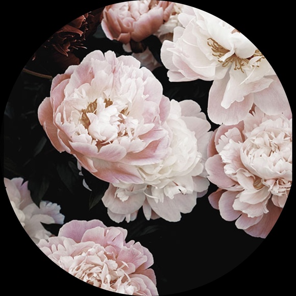 peonies_7